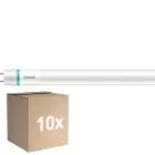 Lot 10x Philips Tube LED T8 MASTER Value (EM/Direct 230V) High Output 13.1/15.5W 2100/2500lm - 840 Blanc Froid | 120cm - Lumen Commutateur - Équivalent 36W
