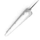 Philips LED Waterdichte Montagebalk CoreLine WT120C Gen2 15W 1900lm - 840 Koel Wit | 60cm